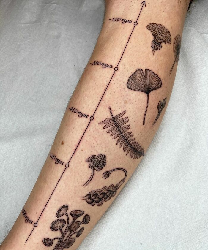 Science tattoo depicting plant evolution timeline on an arm, featuring detailed botanical illustrations.
