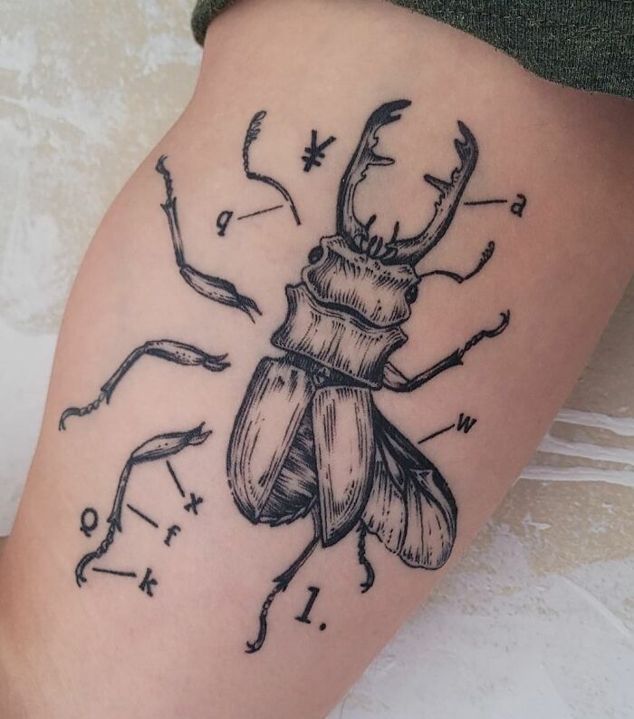 Stag beetle science tattoo with labeled parts for science enthusiasts.