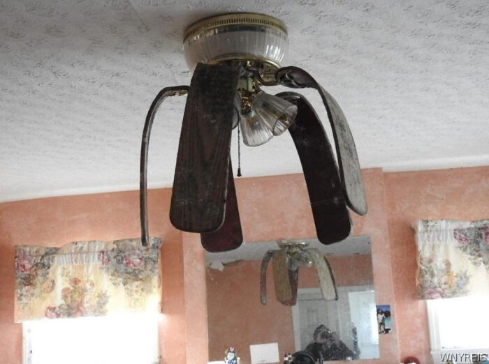 Just Needs A Little Water And It Should Perk Right Up