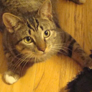 melaniemarcial avatar