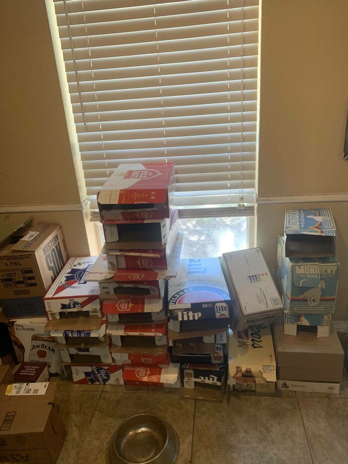 I Made A Bar Graph Of My Favorite Quarantine Beers