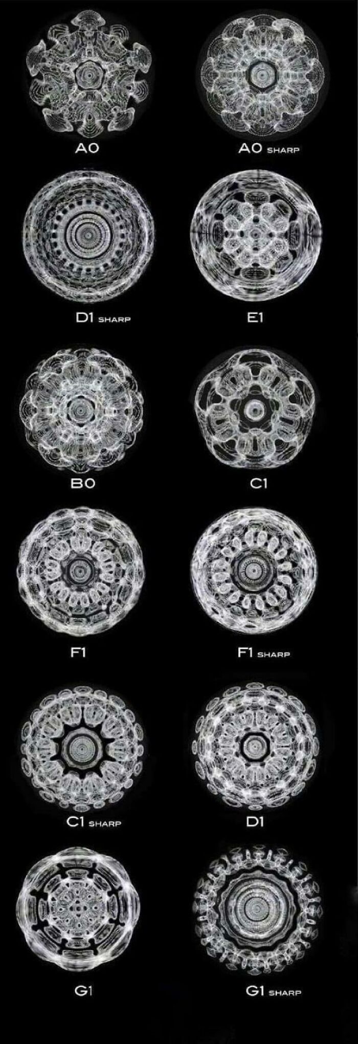 How Different Piano Notes Reverberate Through A Bowl Of Water