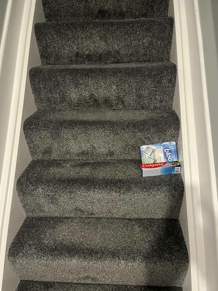 First Time Living On My Own, I Put These Here Over A Week Ago And They’re Still There. How Do I Get Them To Go To The Bathroom?