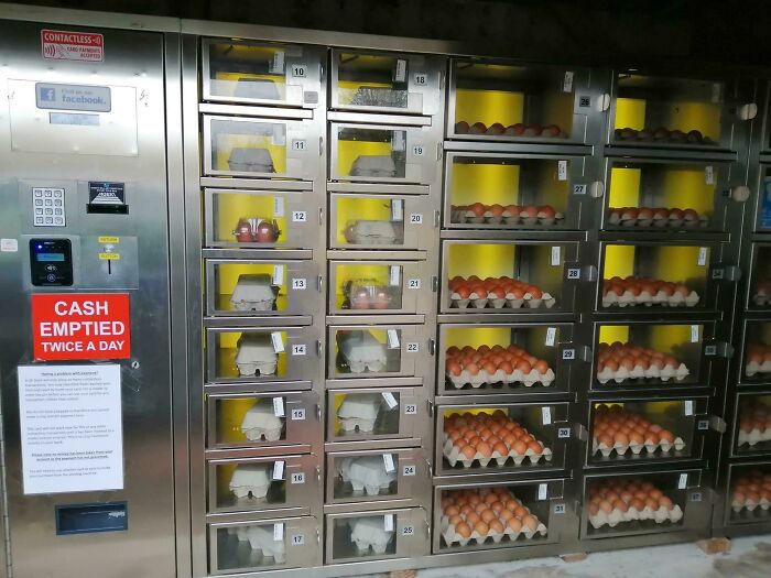 My Girlfriend Has Just Moved From Birmingham And Says My Village Is “Weird” For Having An Egg Vending Machine. She’s Wrong, Right..?