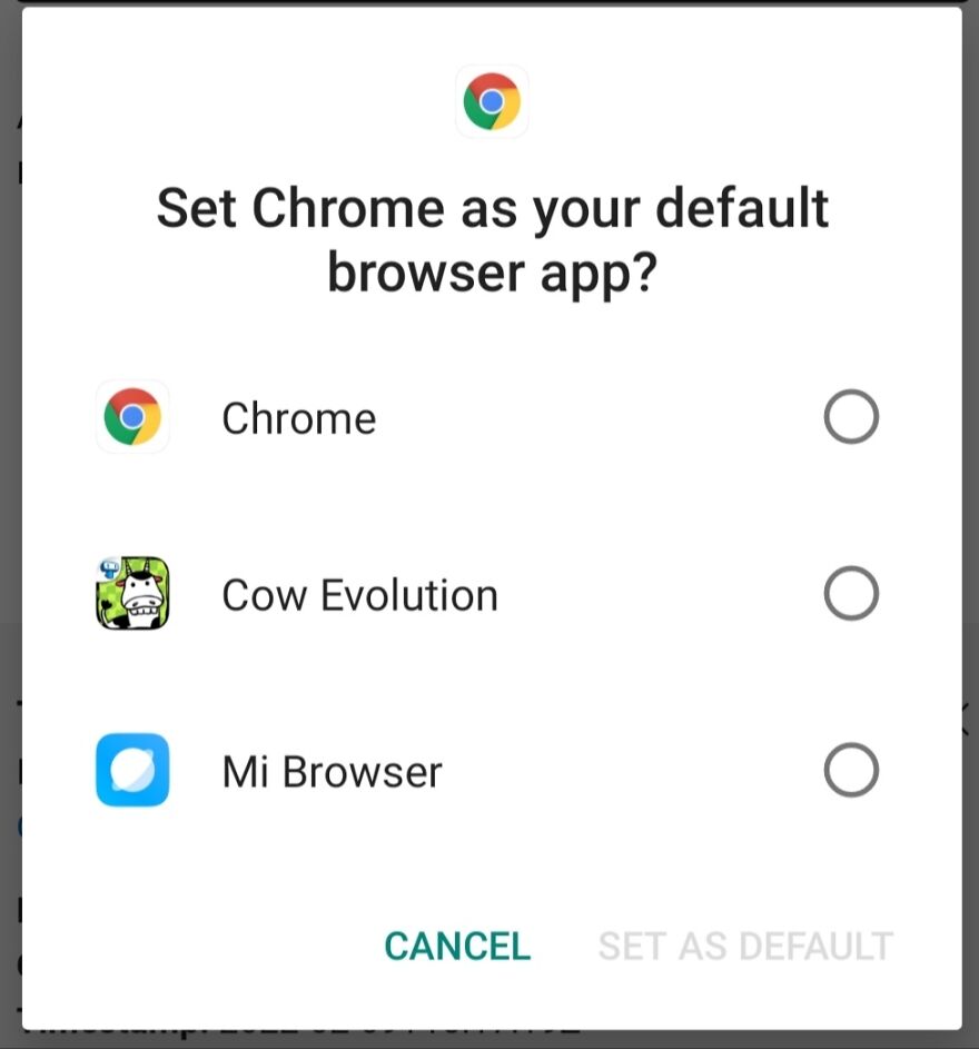 I Wonder What Whould Happen