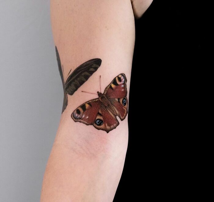 Colorful butterfly tattoo on forearm, showcasing realistic and vibrant design.