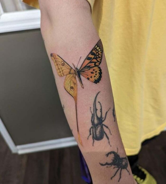 Colorful butterfly tattoo on forearm with beetle designs, showcasing vibrant body art.