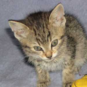 lehnerilse3642gmx_at avatar