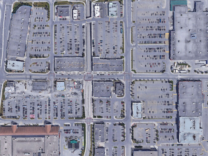 Colour? Never Heard Of It. - Ottawa