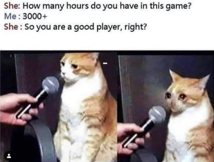 Cat meme showcasing relatable gaming humor with a cat being interviewed about game hours, showing mixed expressions.