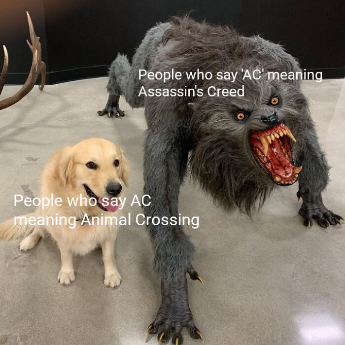 Golden retriever next to a werewolf, labeled with gaming memes about AC meaning Animal Crossing vs. Assassin's Creed.