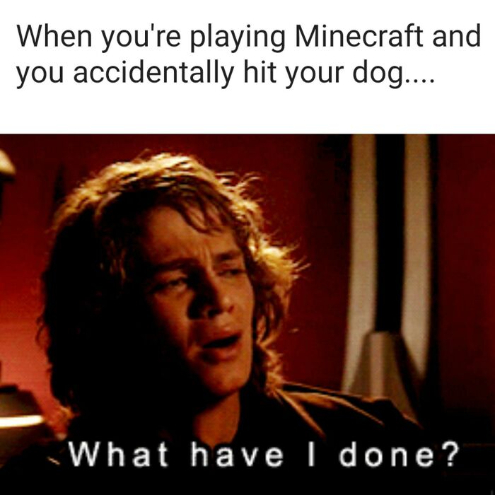 Man expressing regret with text overlay: "What have I done?" Relatable gaming meme about accidentally hitting a dog in Minecraft.