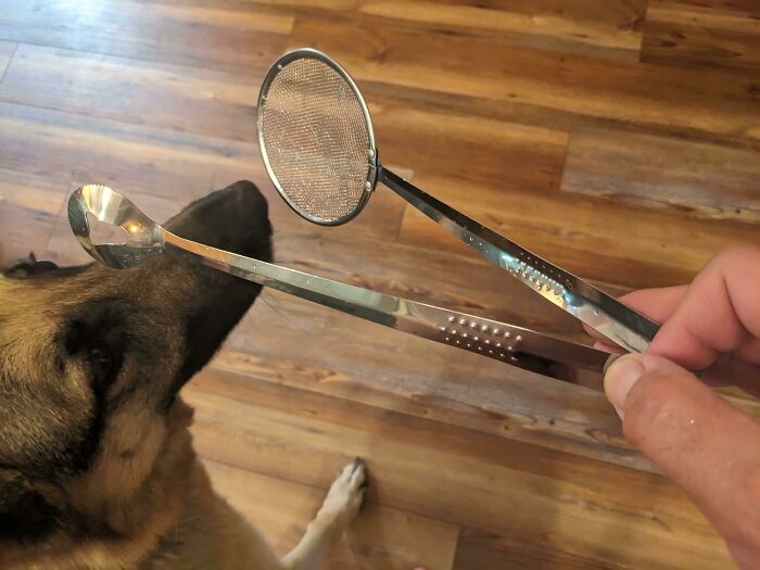 Hand holding mysterious metal kitchen tool with mesh and scoop ends near a curious dog on wooden floor, unusual object found
