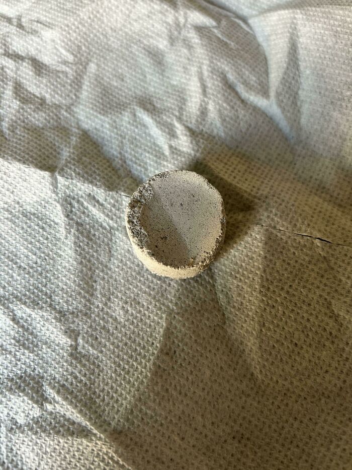 Small round mysterious object with a rough textured surface resting on a crumpled fabric background.