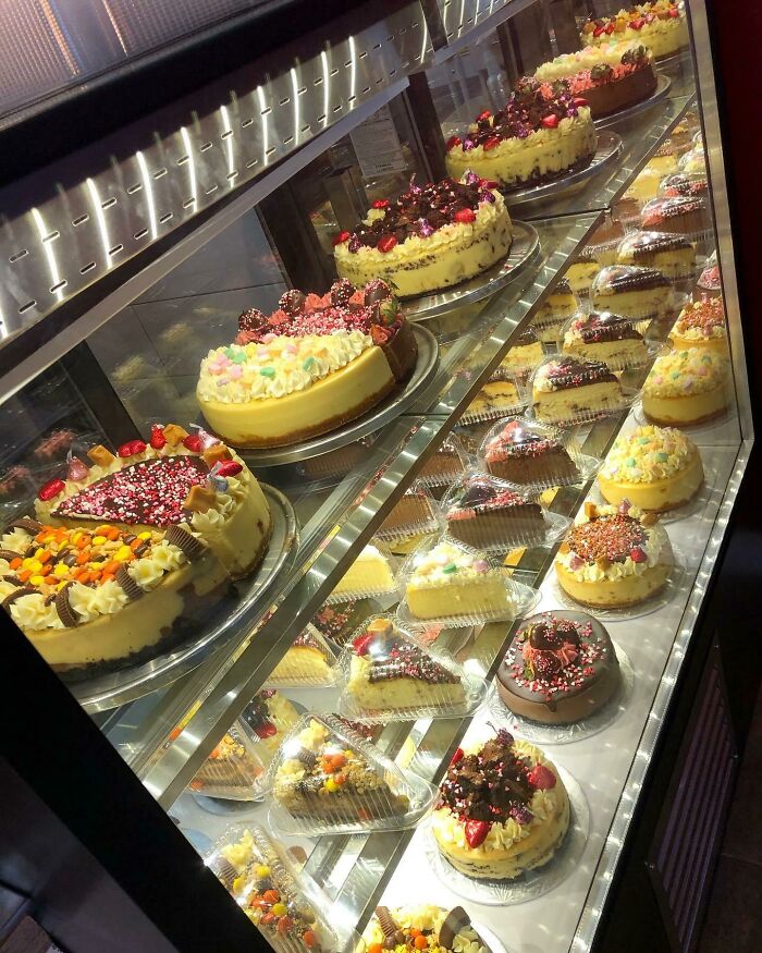 I Am Super Emotional Today, I Was Finally Able To Invest In A Bakery Display Refrigerator And Baked 30 Cheesecakes In 24 Hours To Celebrate! Now I Finally Have Somewhere To Put All Of Them