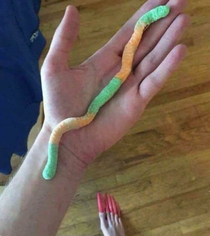 World’s Longest Gummy Worm