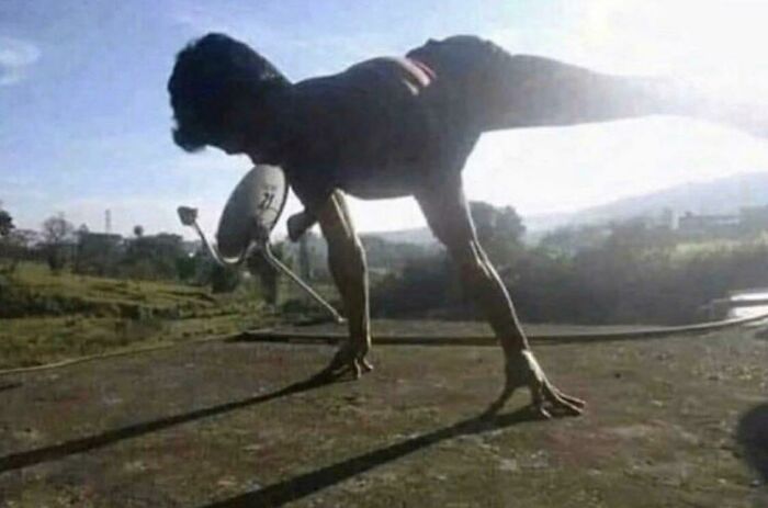 I Thought It Was A T Rex