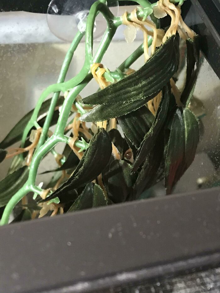 Staring Into Your Soul