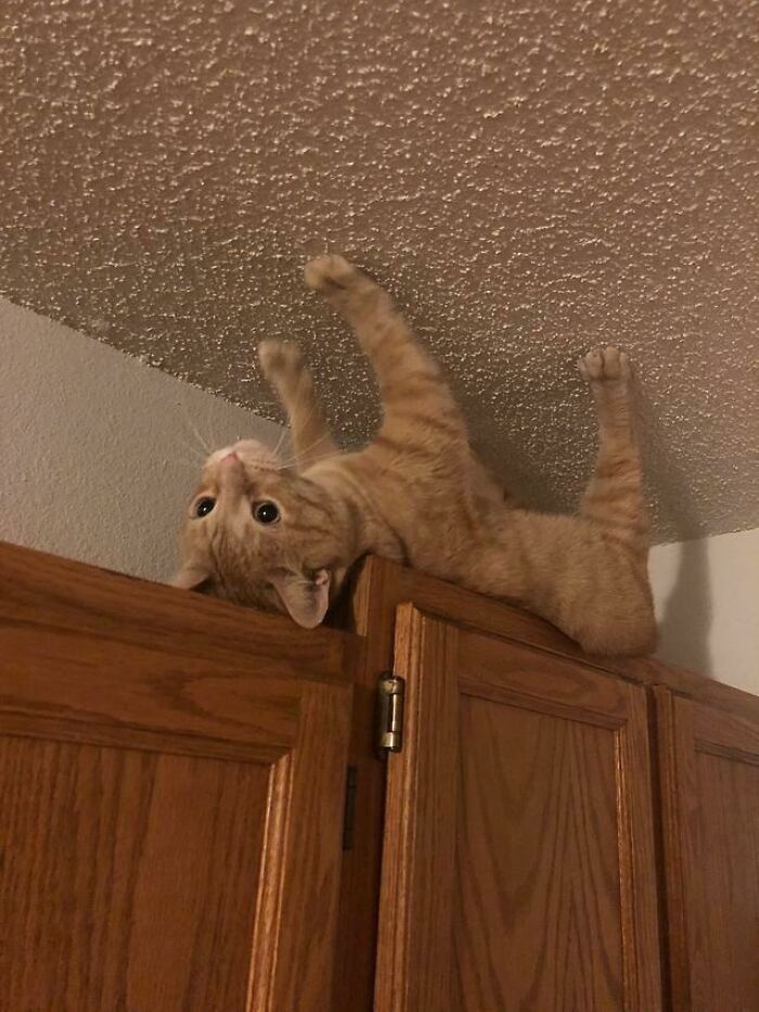 ʍoǝɯ