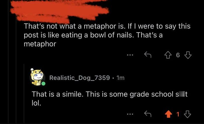 And He Was Correcting Somebody Else