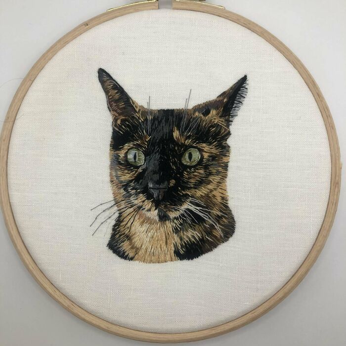 Portrait Of A Slightly Annoyed Cat