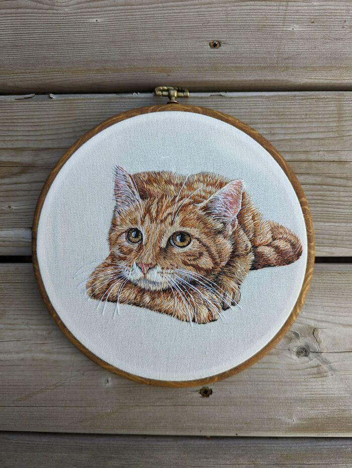 Started In March And I Am Hooked. These Are My Latest Four