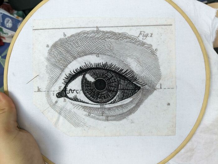 Lil Wip! Anatomical Drawing From The 1800s