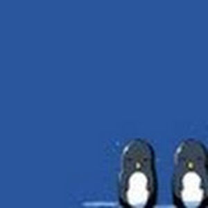 jenniferanderson_3 avatar