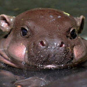 vivanvasudeva avatar