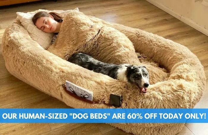 Human Sized Dog Bed