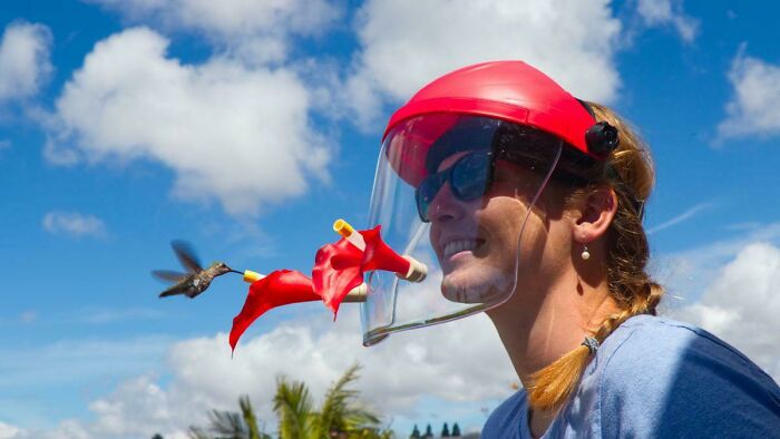 This Hummingbird Feeding Helmet