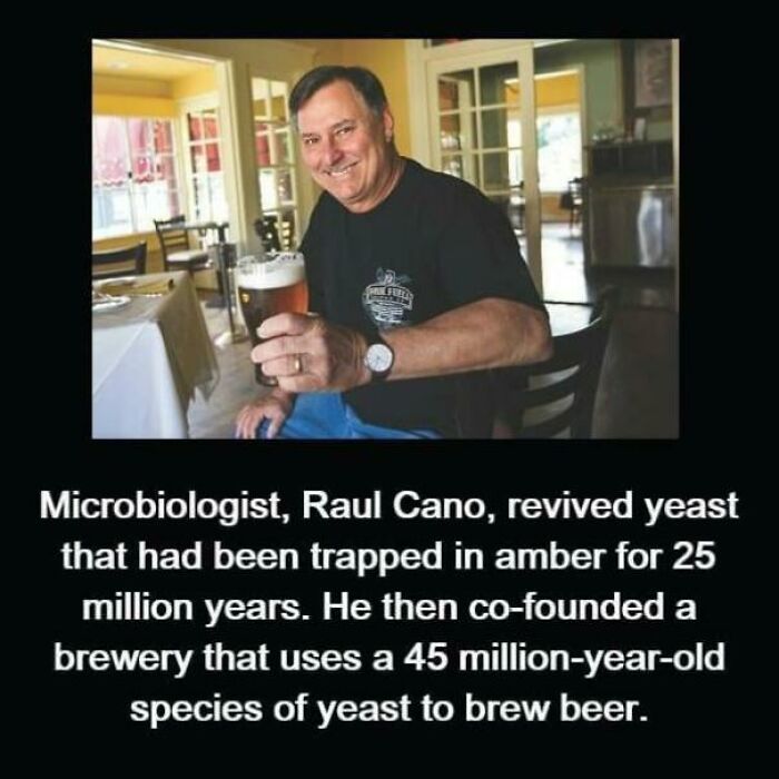 Curiosity Might Actually Make Me Try This One…