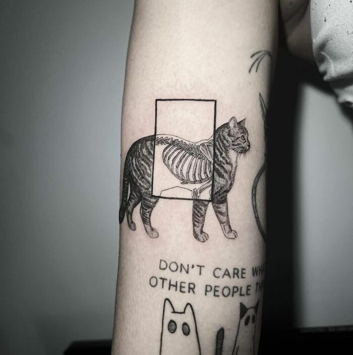 Science tattoo of a cat with an X-ray showing its skeleton on an arm.