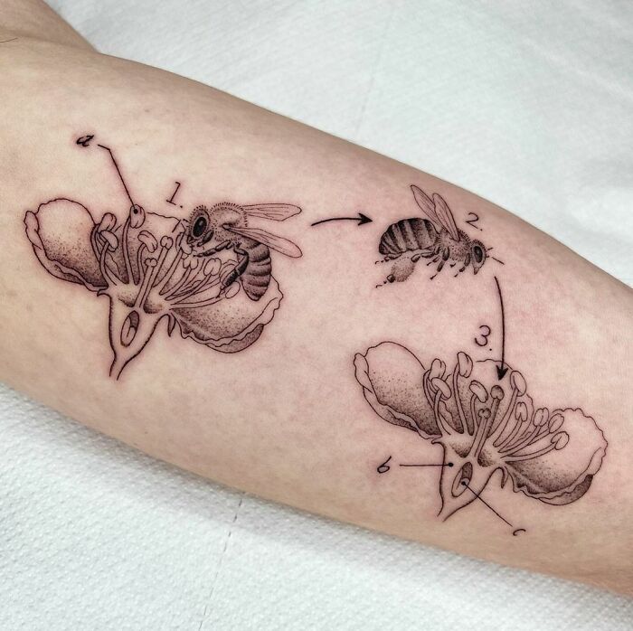 Tattoo of a bee pollinating a flower, depicting stages, ideal for science enthusiasts.
