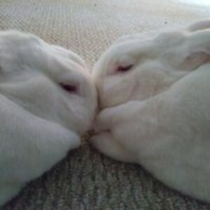 brandonbauer979 avatar