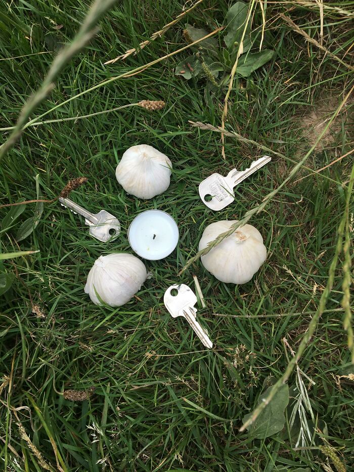 Garlic bulbs, keys, and a tealight candle arranged on grass in a peculiar setup, weirdest pics concept.