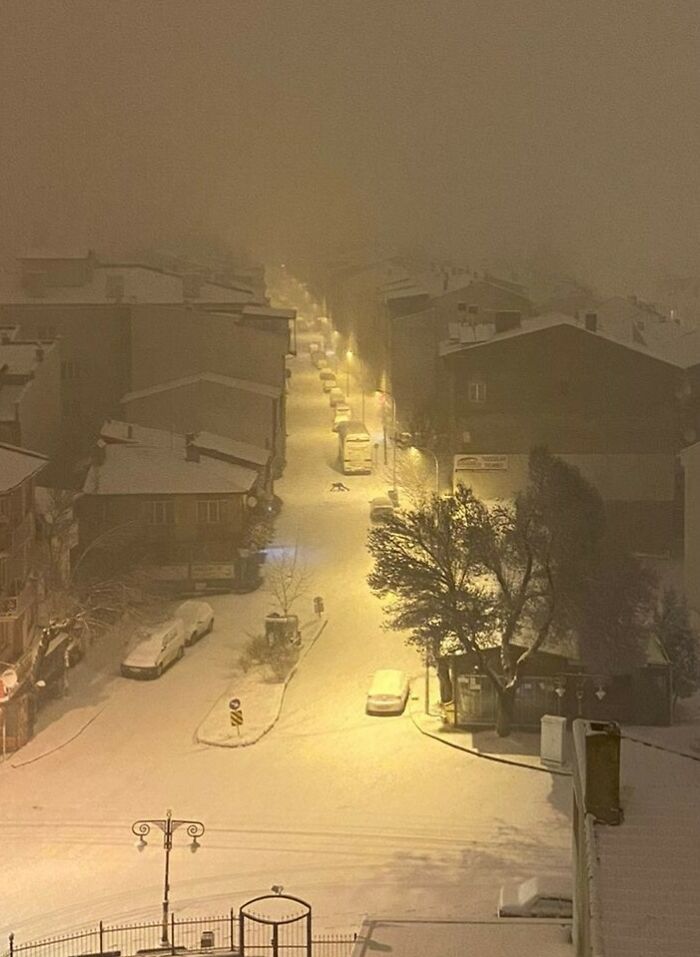 Snow-covered street at night with dim streetlights and parked cars in a weirdest pics online group setting.