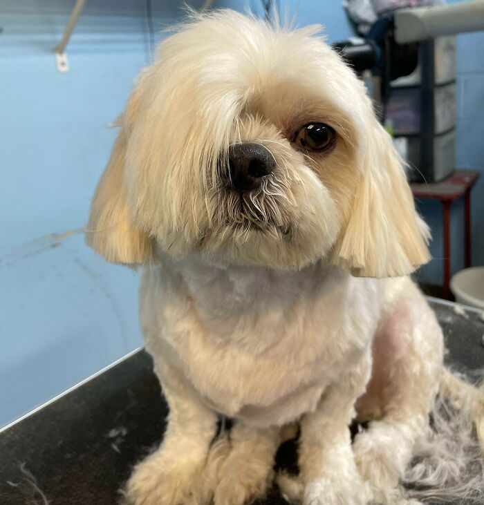 No, She Doesn’t Need To Speak To The Manager. She Is The Manager