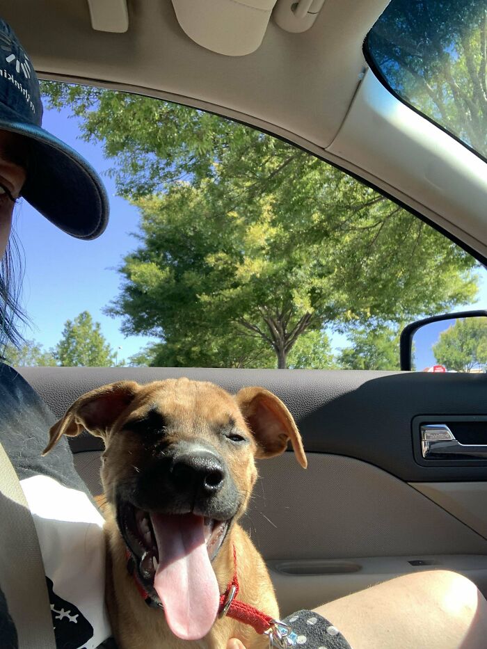 Welcome Goose To The Family