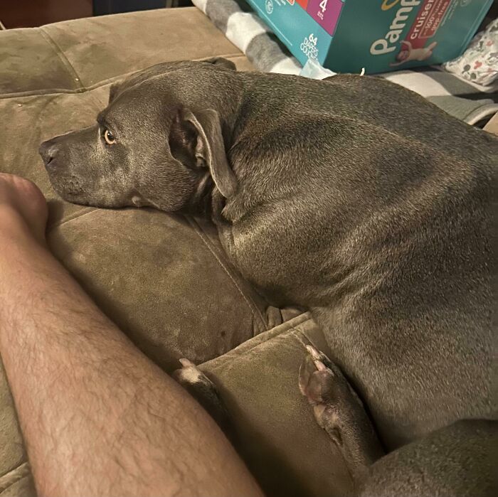 Who Would Have Thrown This Perfect Angel Out By My House??? Oh Well. Their Loss, My Gain!!! 💕