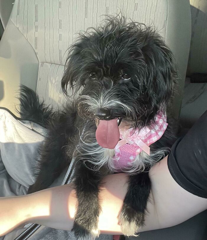 Just Saved This Crazy Girl Her Name Is Minnie