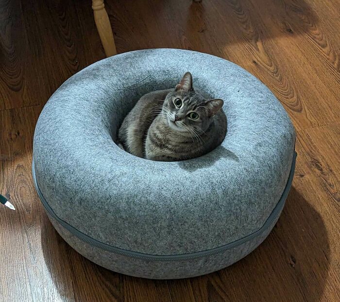 She Likes Her New Donut