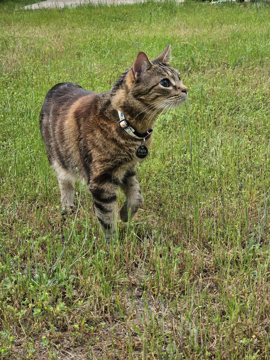Blind Boy Got Some Supervised Outside Time!