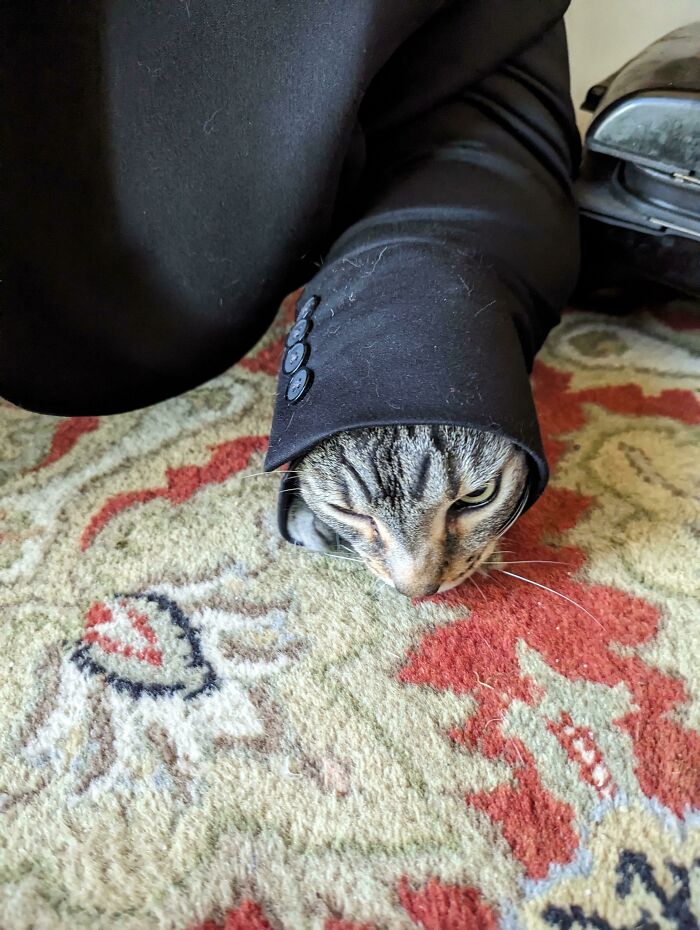 Left This Idiot Home Alone For Five Minutes