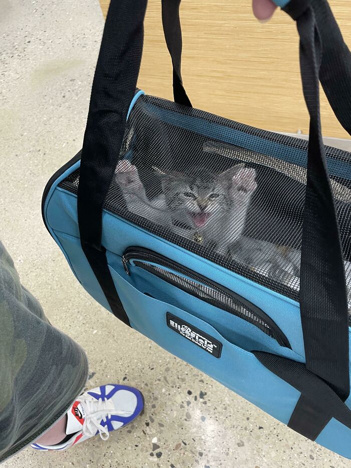 In Prison For Tiny Crimes (Actually Just A Vaccination Appointment, But Beans Let Her Thoughts Be Known)