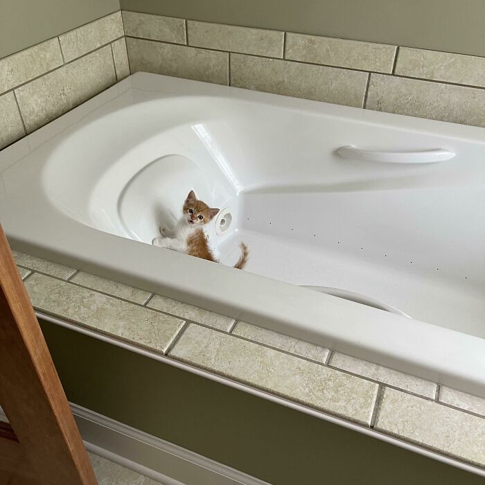 Someone Got In There…and Got Mad She Couldn’t Get Out