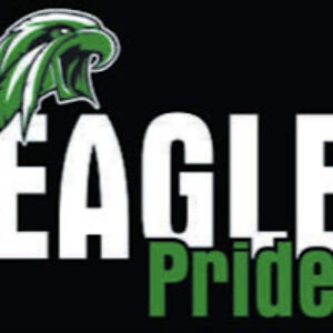 onlyproskills1 avatar