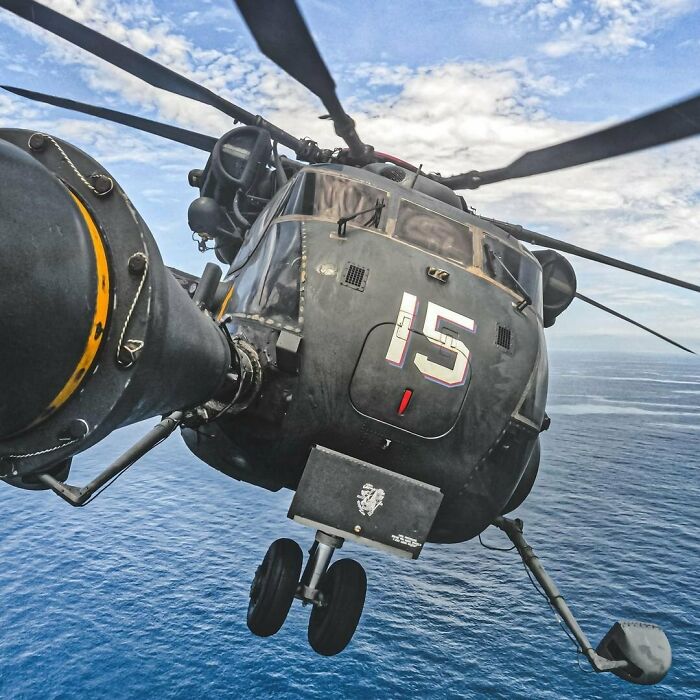 Sea Stallion Taking A Selfie