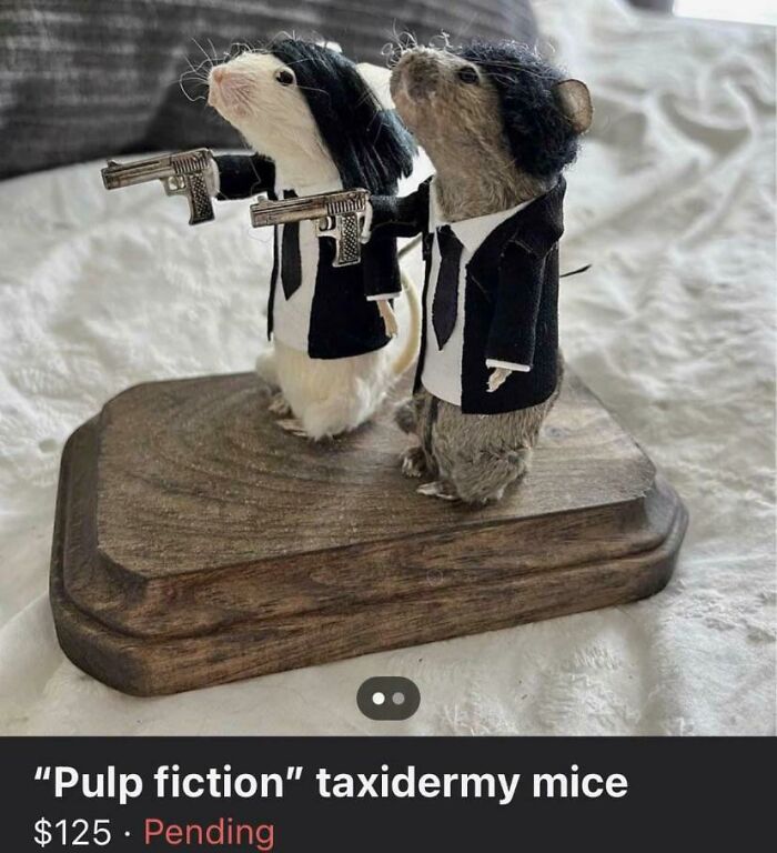 What Am I Looking At