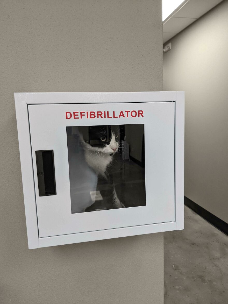 Thanks, I Love The New Defibrillator Charged And Ready.